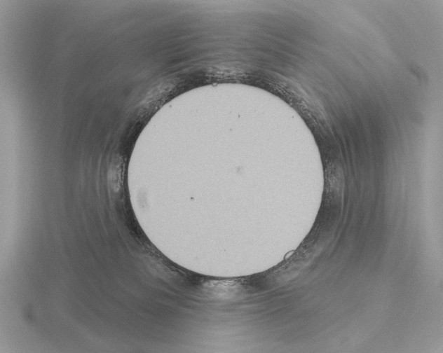 X0000115330133200912141227