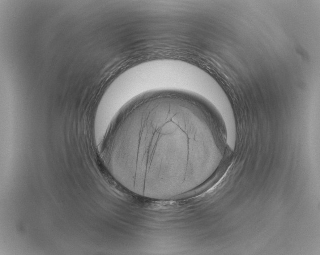 X0000115330136200912141227