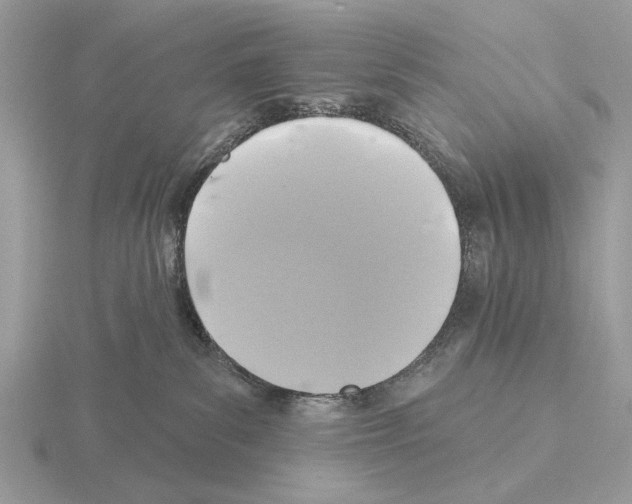 X0000115330139200912141227