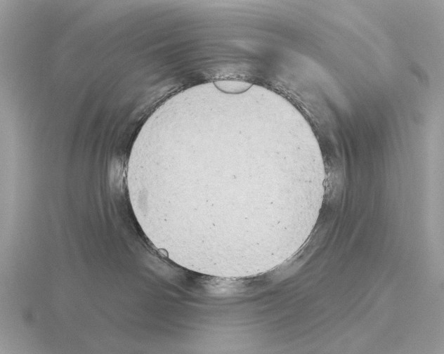 X0000115330142200912141227