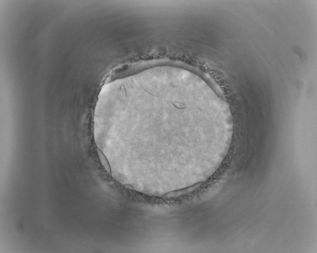 X0000115330144200912141227