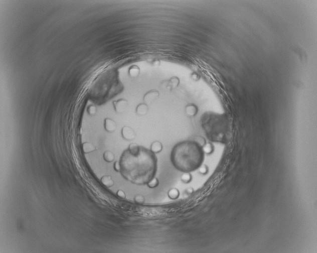 X0000115330145200912141226