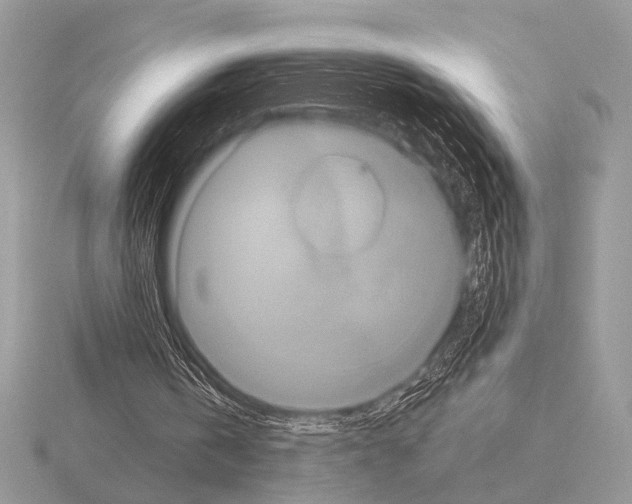 X0000115330146200912141226