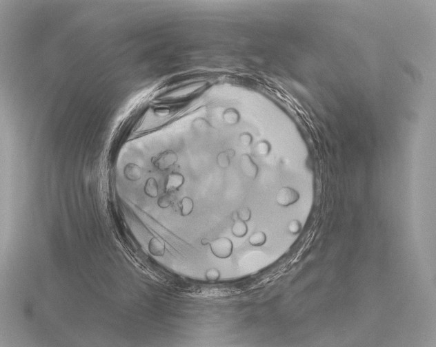 X0000115330149200912141226