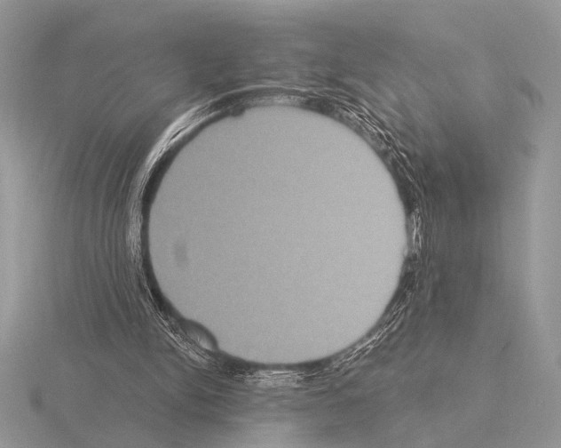 X0000115330150200912141226