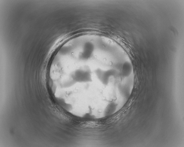 X0000115330151200912141226