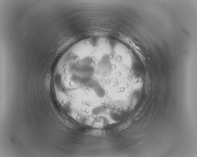 X0000115330153200912141226