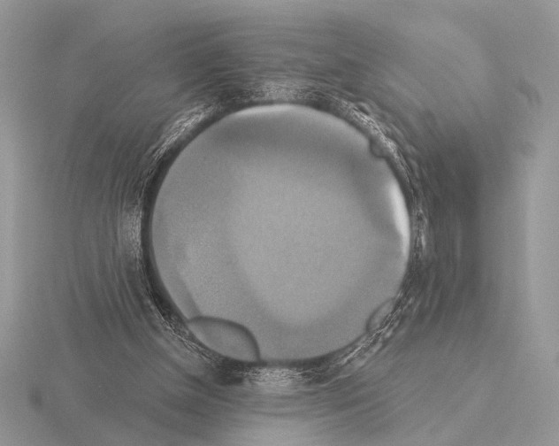 X0000115330154200912141226