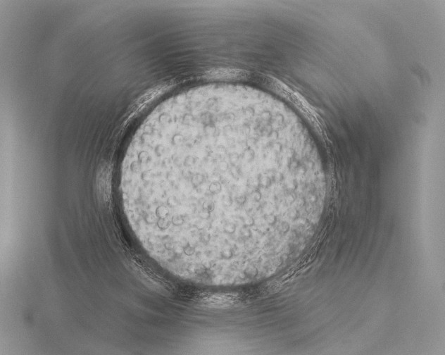 X0000115330155200912141226