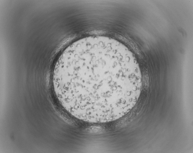 X0000115330159200912141226