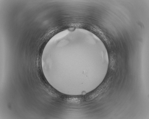 X0000115330161200912141226