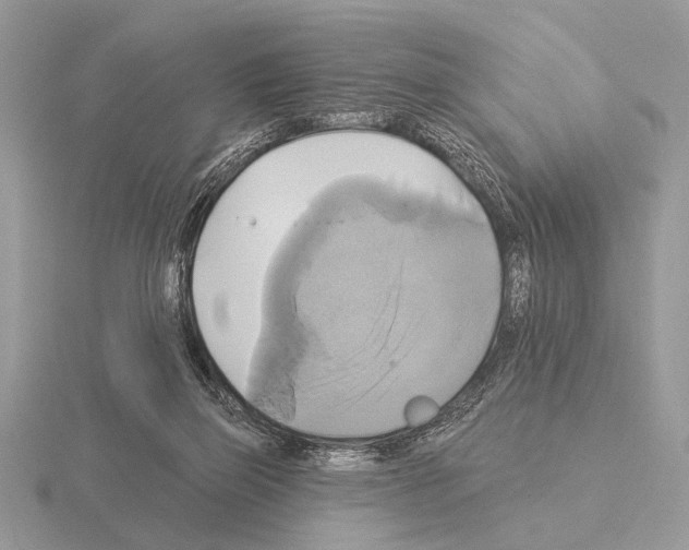 X0000115330165200912141226