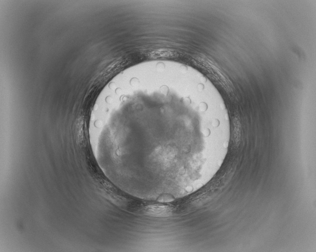 X0000115330169200912141226