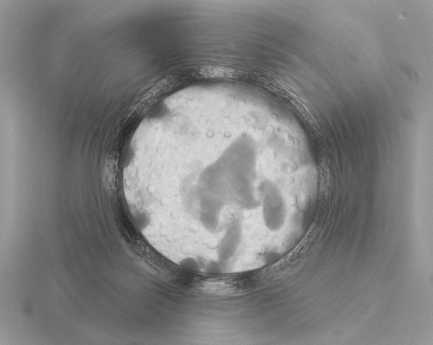 X0000115330171200912141226