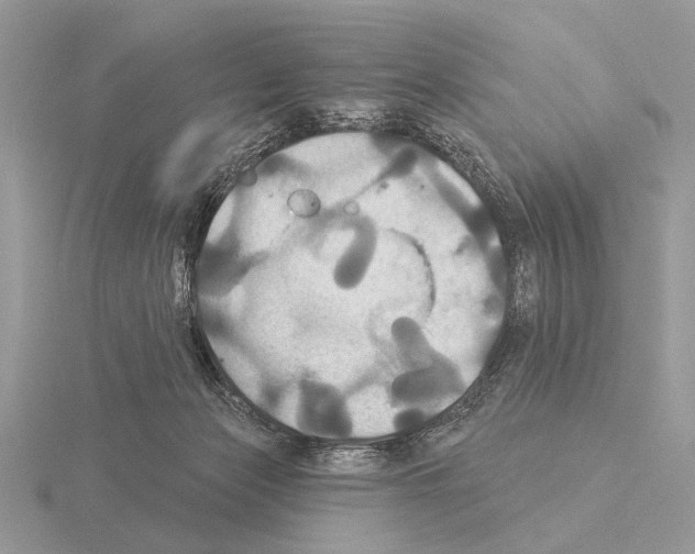 X0000115330173200912141226