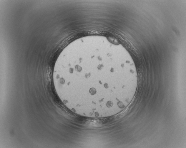 X0000115330174200912141226