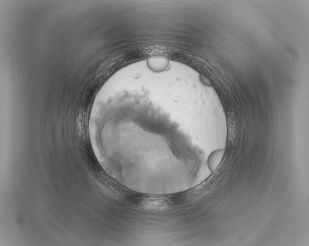 X0000115330175200912141226