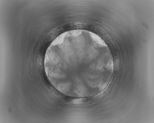 X0000115330178200912141226