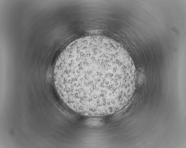 X0000115330179200912141227