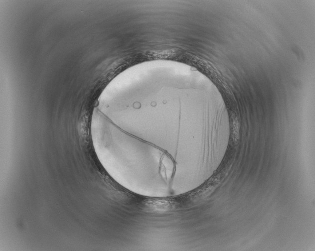 X0000115330181200912141227