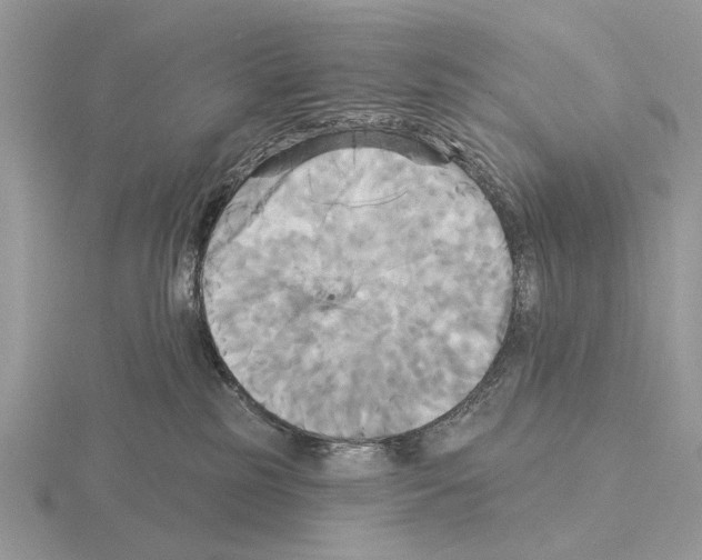 X0000115330185200912141227