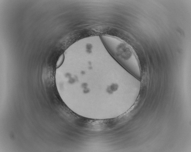 X0000115330186200912141227