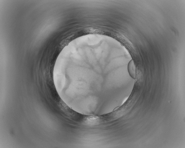 X0000115330189200912141227