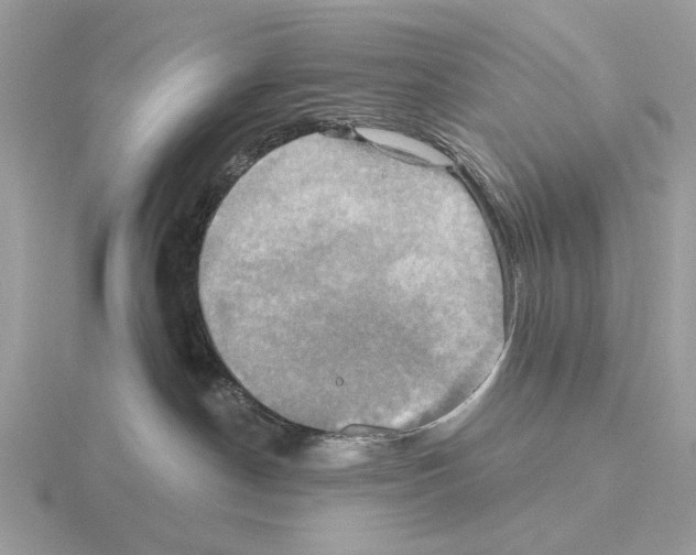 X0000115330190200912141227