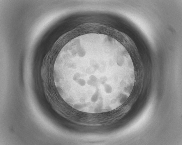 X0000115330191200912141227