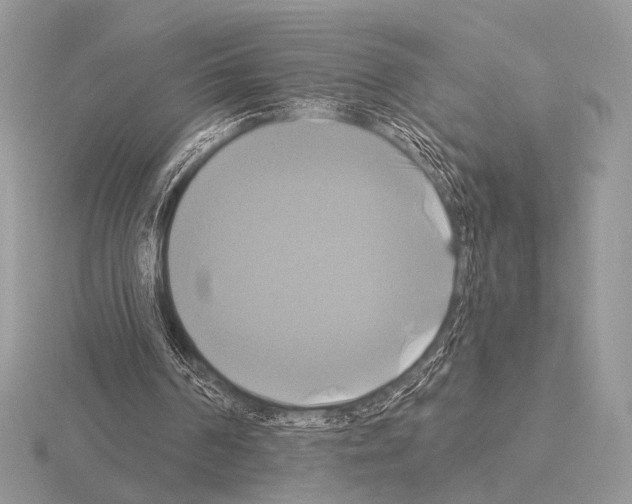 X0000115330194200912141226