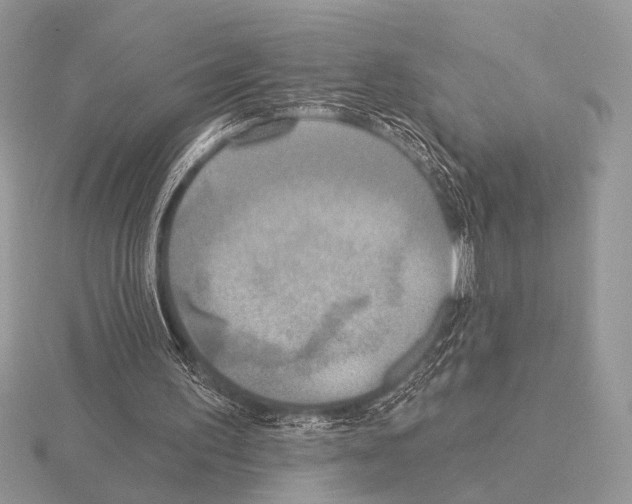 X0000115330195200912141226