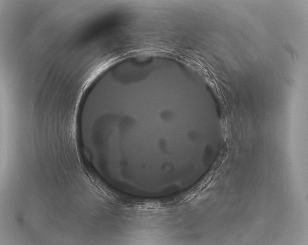 X0000115330196200912141226