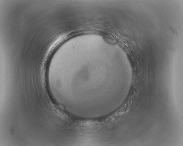 X0000115330197200912141226