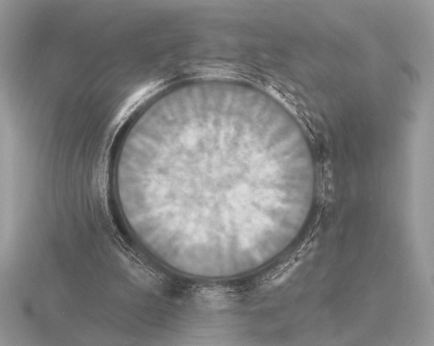 X0000115330199200912141226