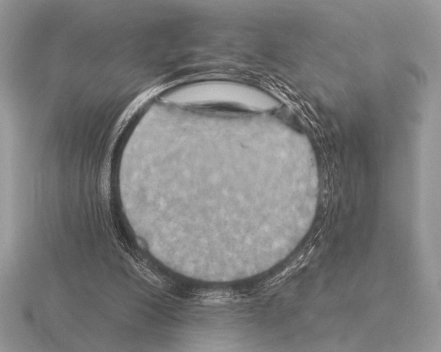 X0000115330200200912141226