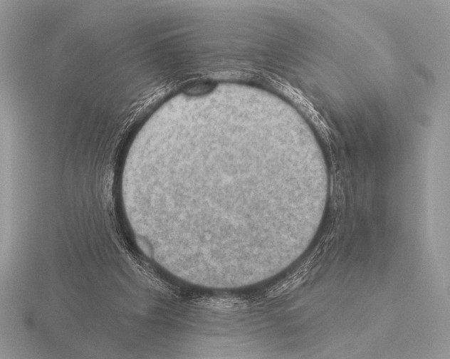 X0000115330201200912141226