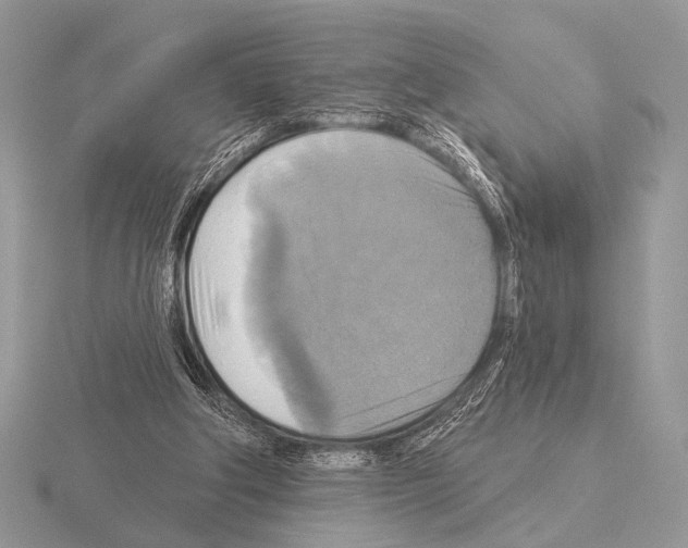 X0000115330202200912141226