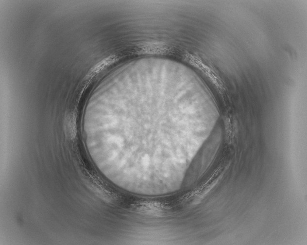 X0000115330203200912141226