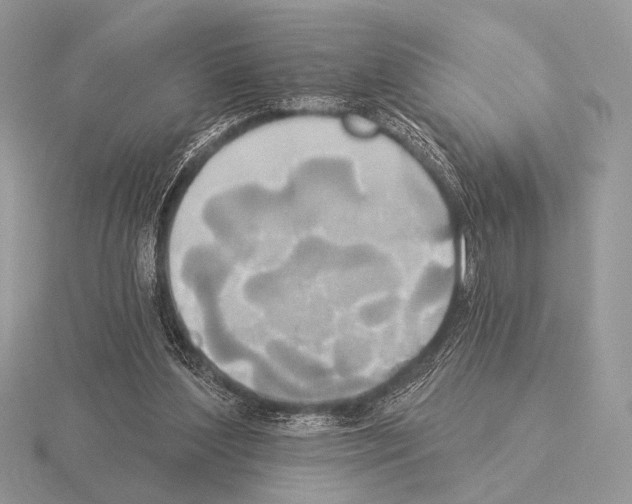 X0000115330204200912141226