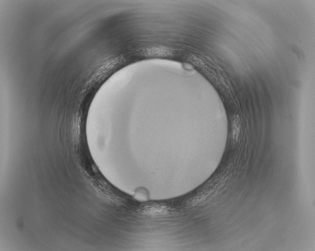 X0000115330206200912141226