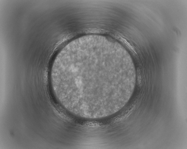 X0000115330207200912141226