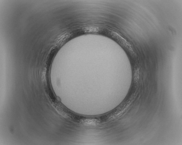 X0000115330209200912141226