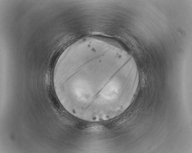 X0000115330210200912141226