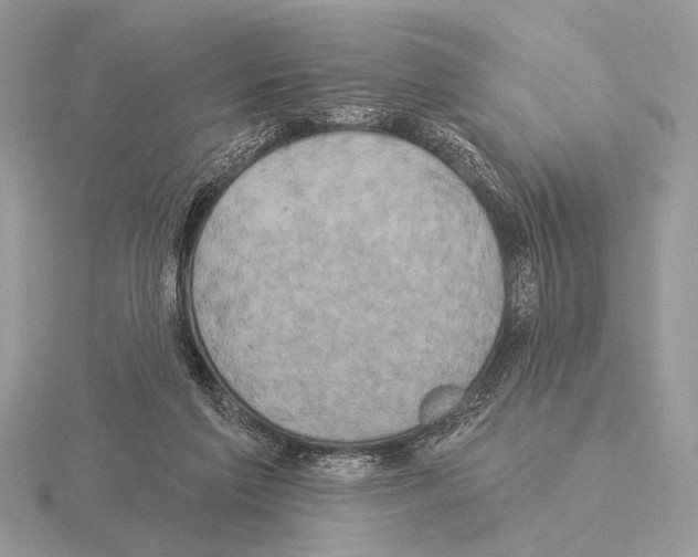 X0000115330213200912141226