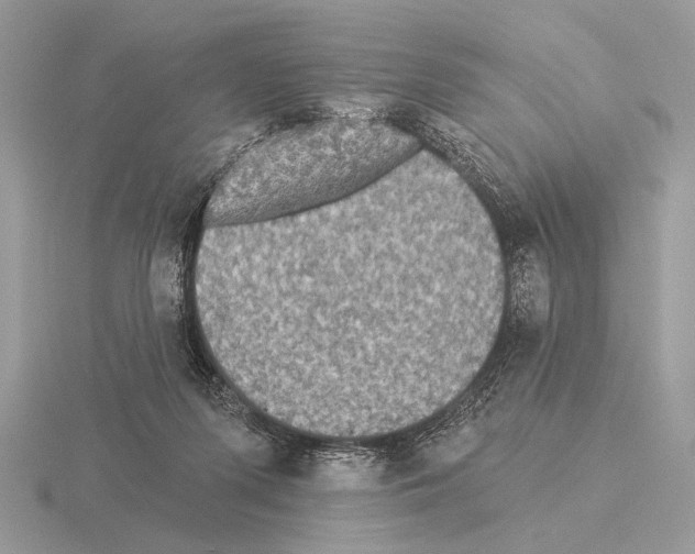 X0000115330215200912141226