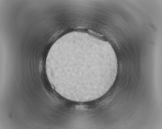 X0000115330216200912141226