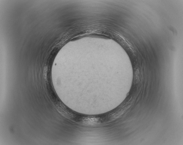 X0000115330217200912141226