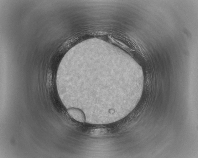 X0000115330220200912141226