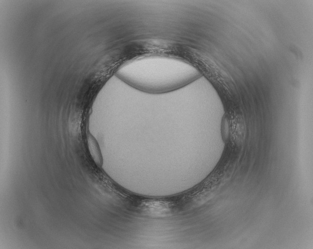 X0000115330221200912141226