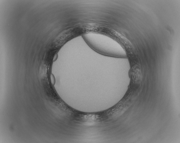 X0000115330225200912141226